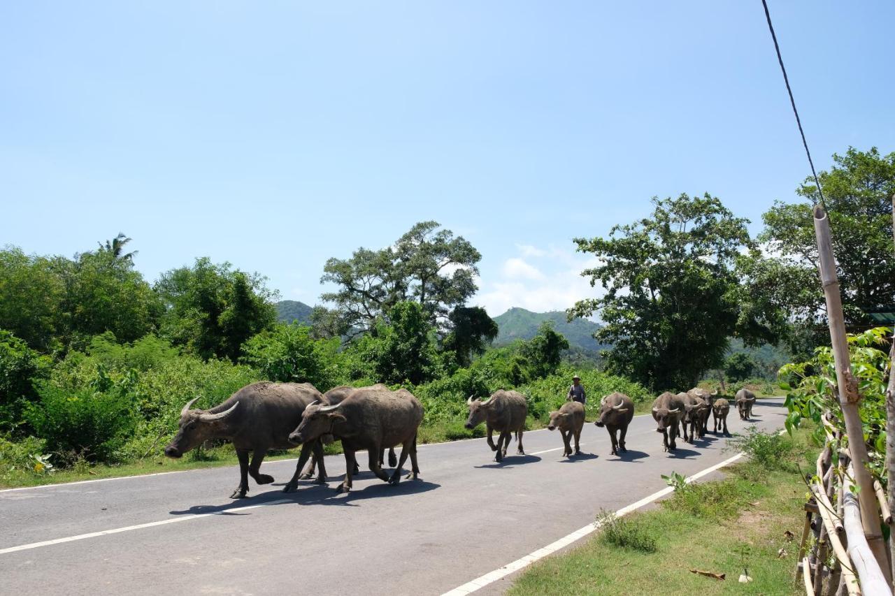 Suku Lifestyle Hotel & Villas Selong Belanak Ngoại thất bức ảnh